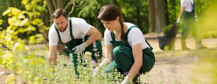 Greenpeace Greenpeace