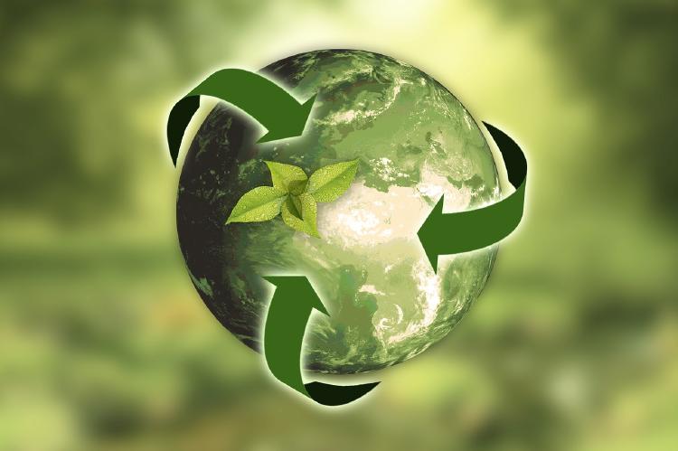 bioplasticos para salvar el planeta