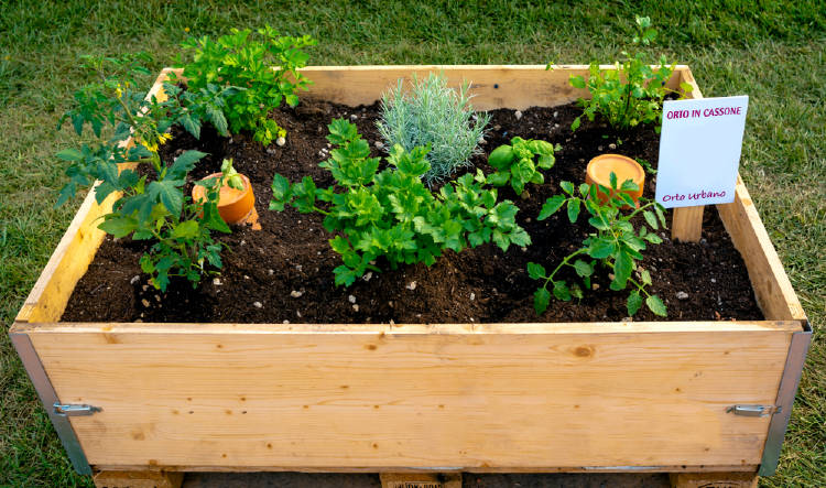 shutterstock_1100671901 shutterstock_1100671901.jpg