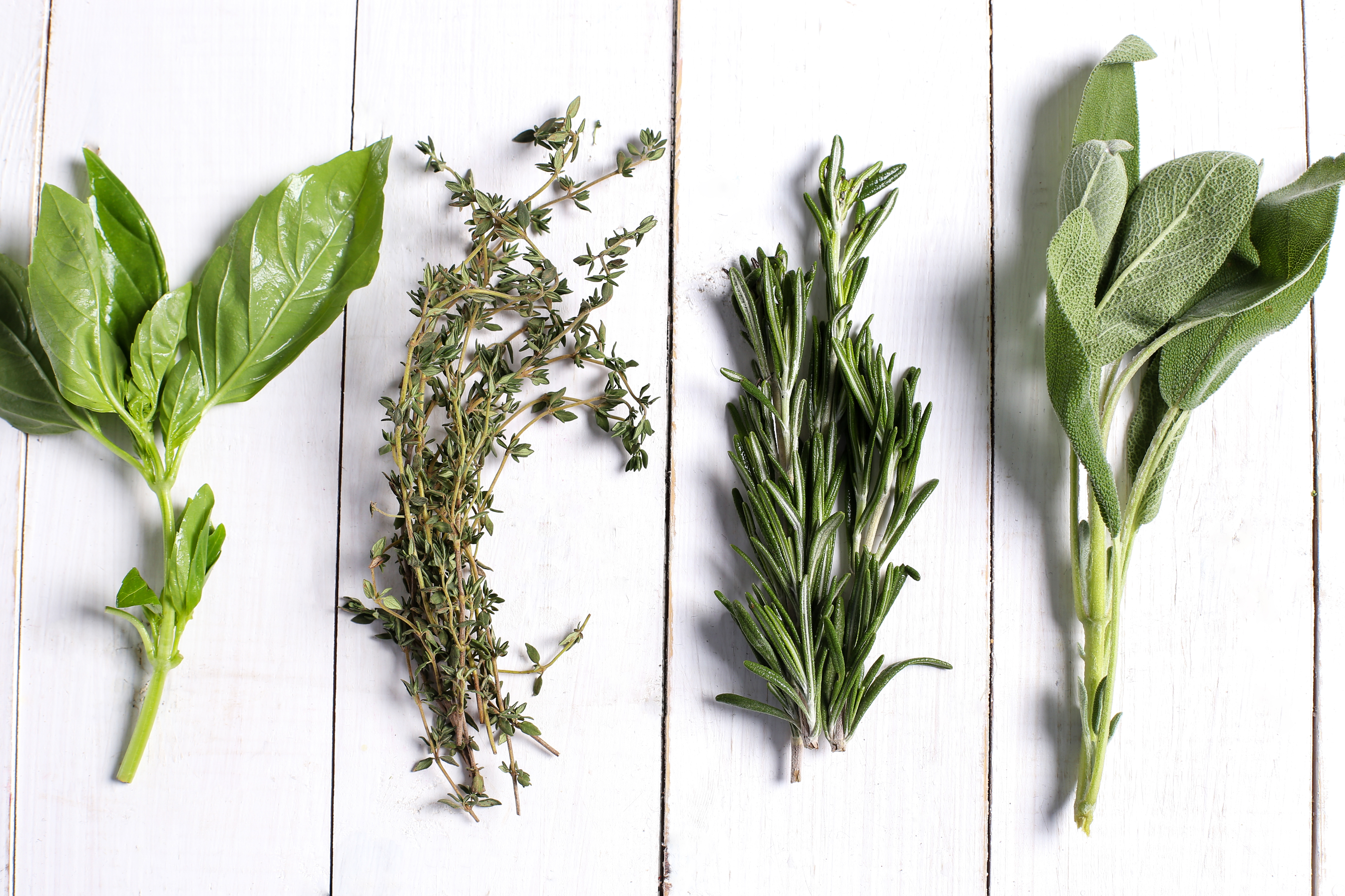 different herbs in white wooden table top view