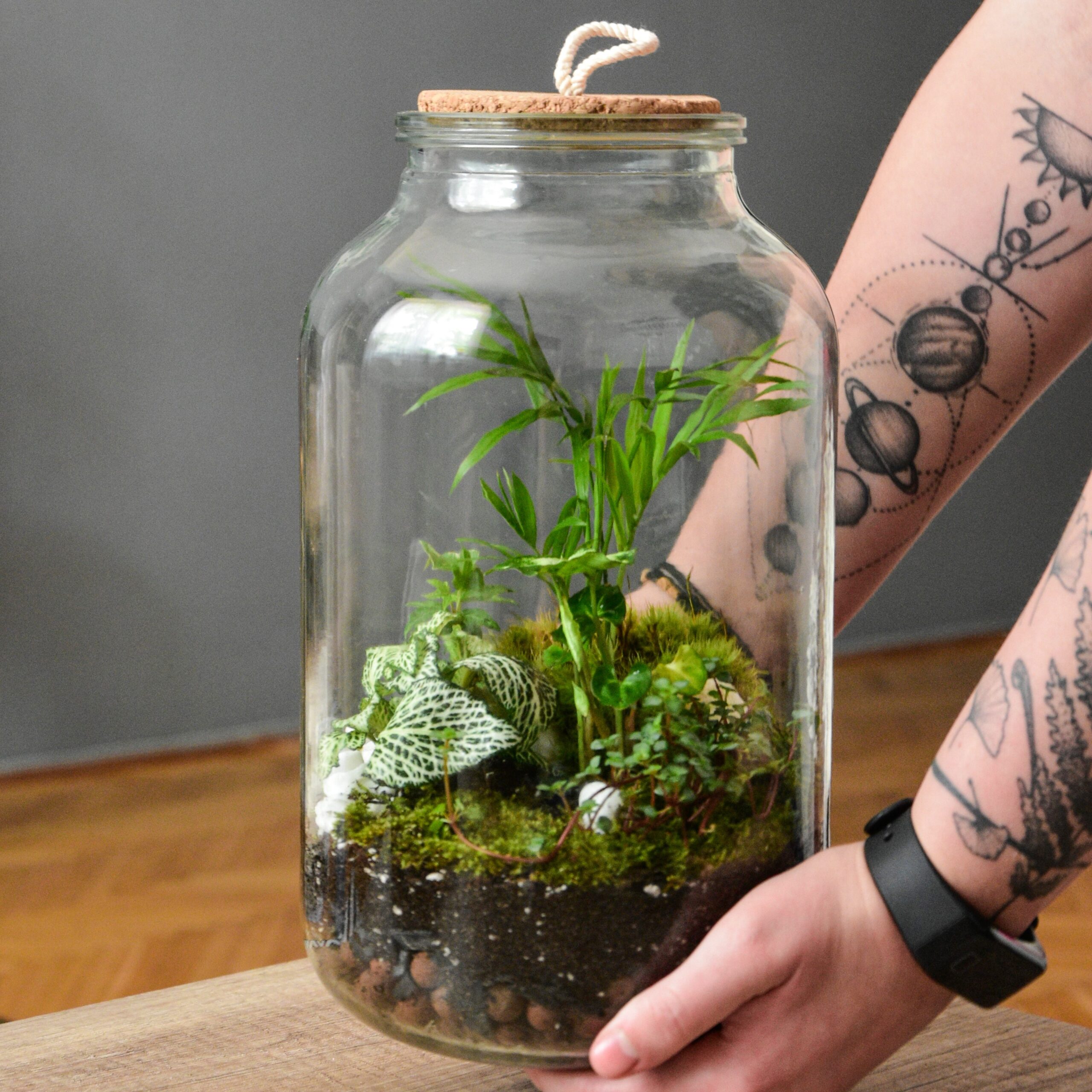 cuadrado 8 1 scaled cuadrado 8 1 scaled