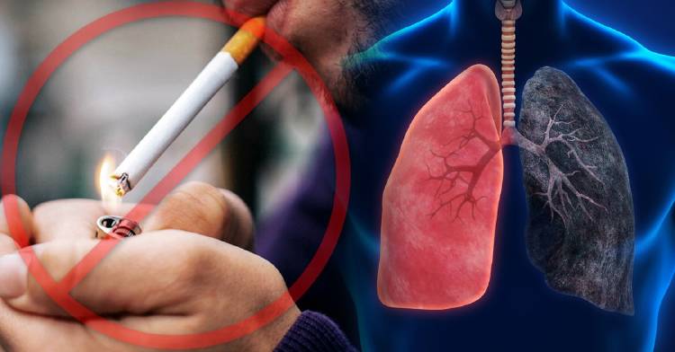 9 alimentos que te quitan el deseo de fumar de la noche a la mañana 9 alimentos que te quitan el deseo de fumar de la noche a la mañana