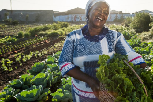 Diseño sin título 2025 04 30T140342.375 1ero de mayo: ¿Porqué se festeja el día del trabajador?: se festeja en conmemoración de la lucha por los derechos laborales. (Foto: Pinterest)