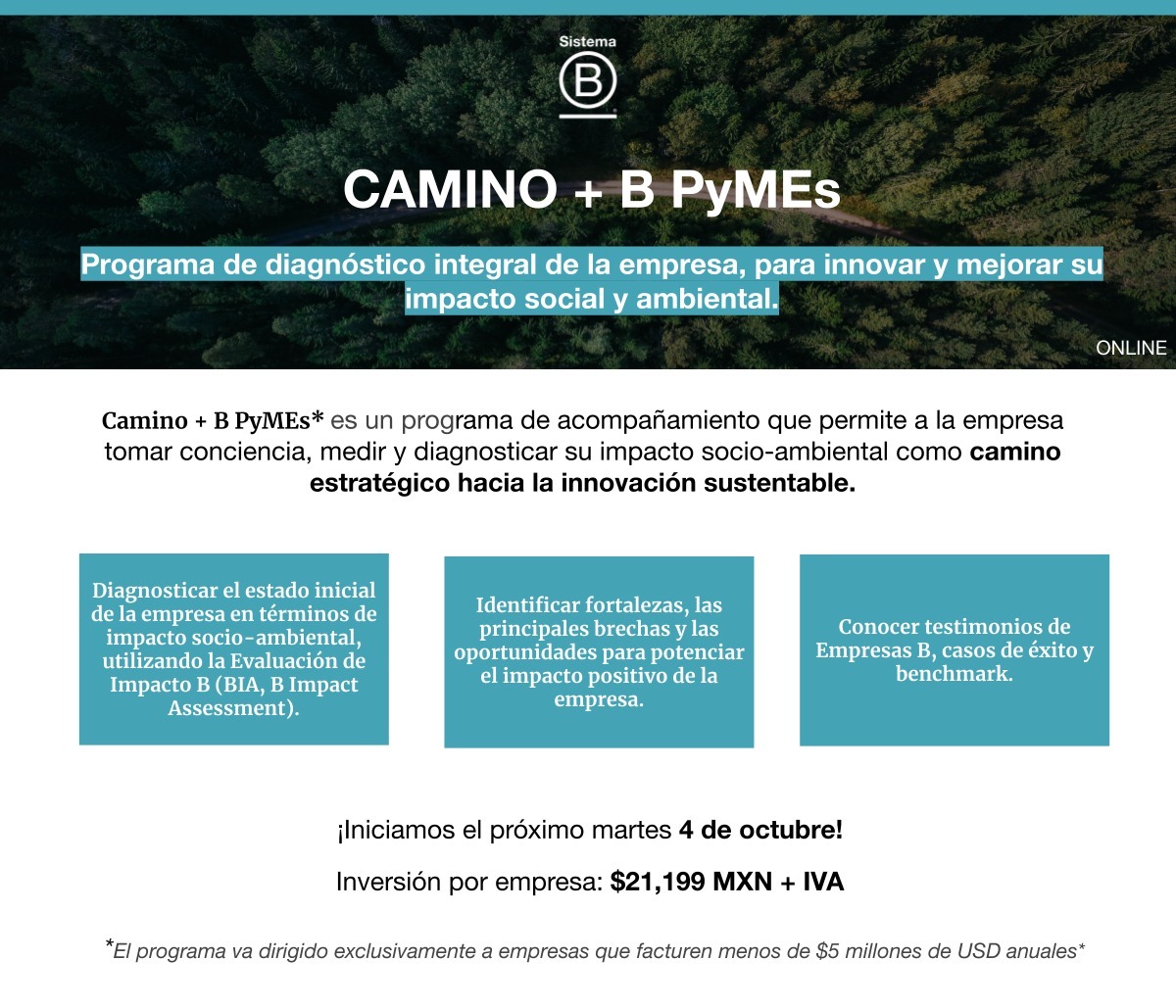 ¿Cómo Ser Empresa B? Lo Que Debes Saber Sobre Certificación B | Bioguia