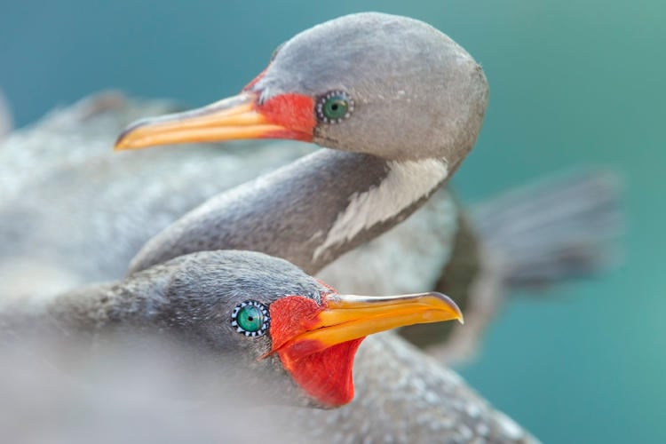 _LVL6771web _LVL6771web