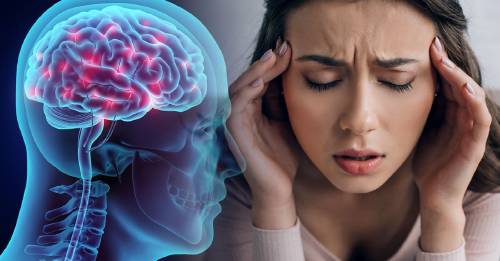 Lo que comes puede impactar tu cerebro y memoria