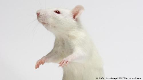 63757512_303 63757512_303