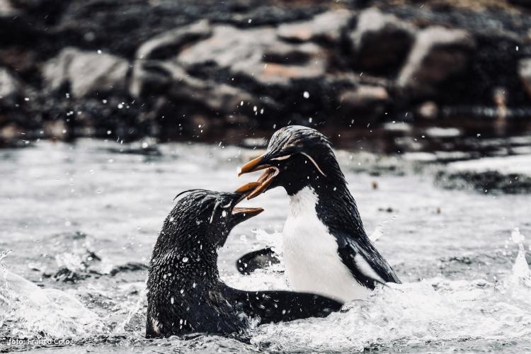 © Foto 07 © Foto 07