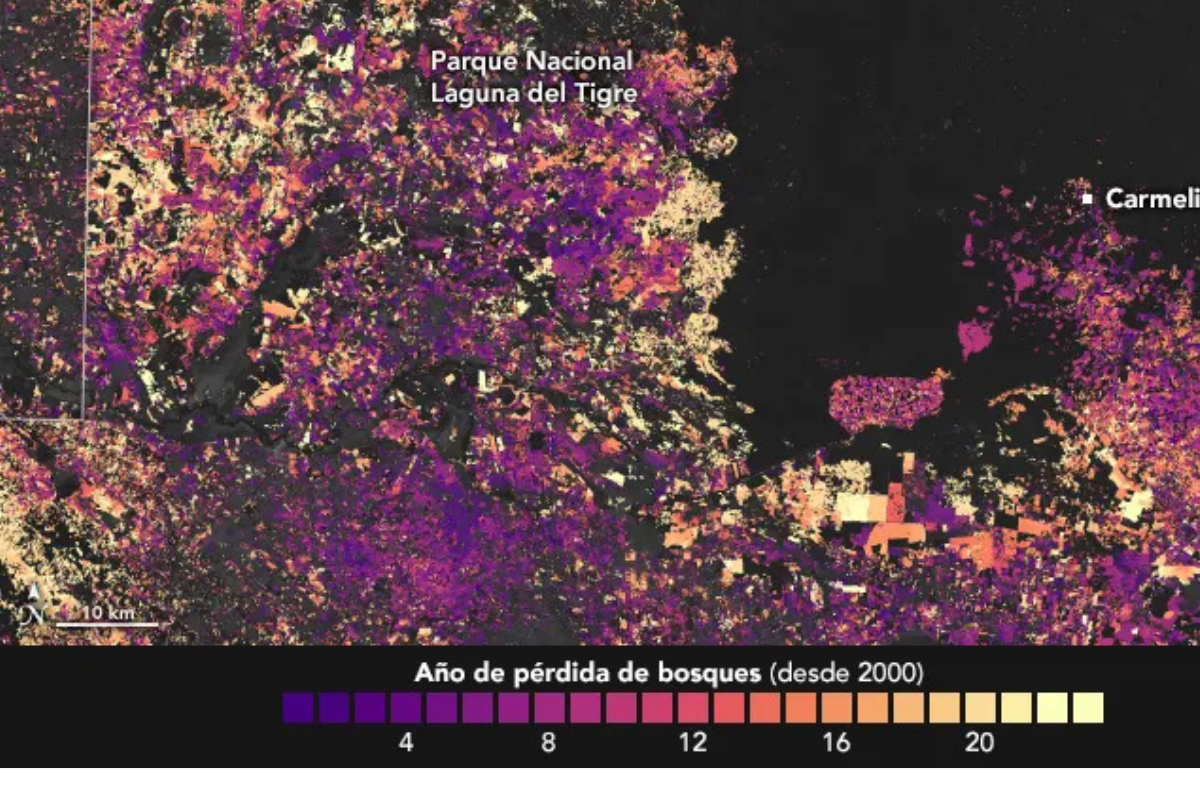 selva maya imagen satélital 2000 2023