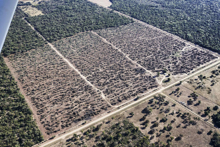 greenpeace2 greenpeace2