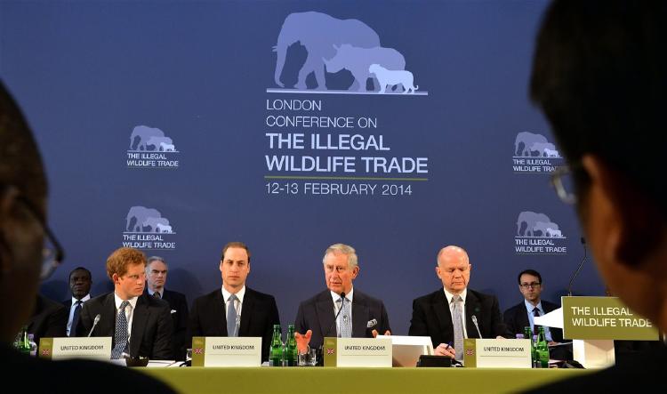 carlos iii inglaterra illegal wildlife trade_043e3876_1280x756