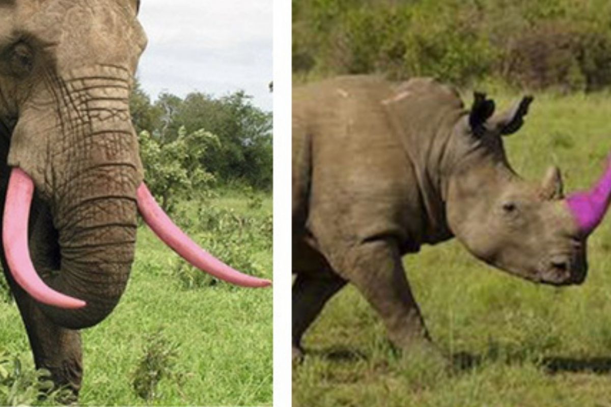 Imagen: goodfullness.com 