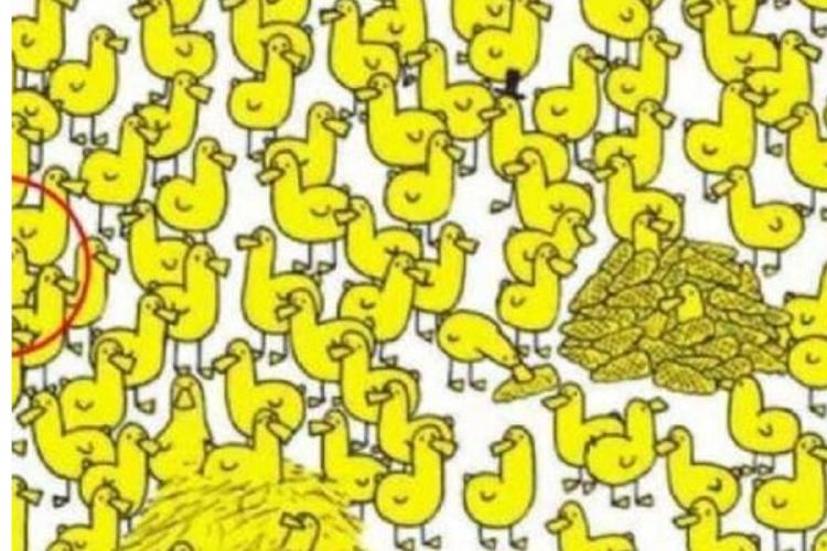 Acertijo Solución al acertijo visual de Gergely Dudás