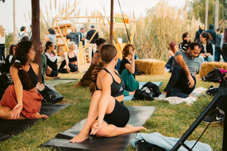 DSC 9530 (1) DSC 9530 (1)