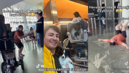 _portada bioguia 2023 01 27T155415.158 _portada bioguia 2023 01 27T155415.158