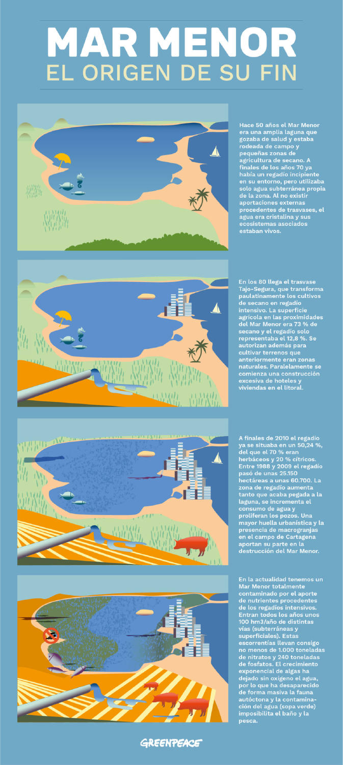 Greenpeace Greenpeace