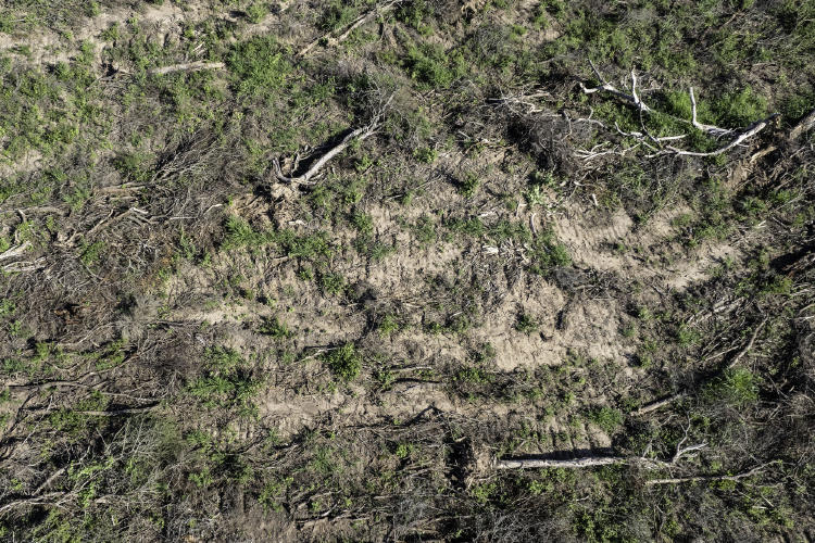 DJI 0149(1) DJI 0149(1)