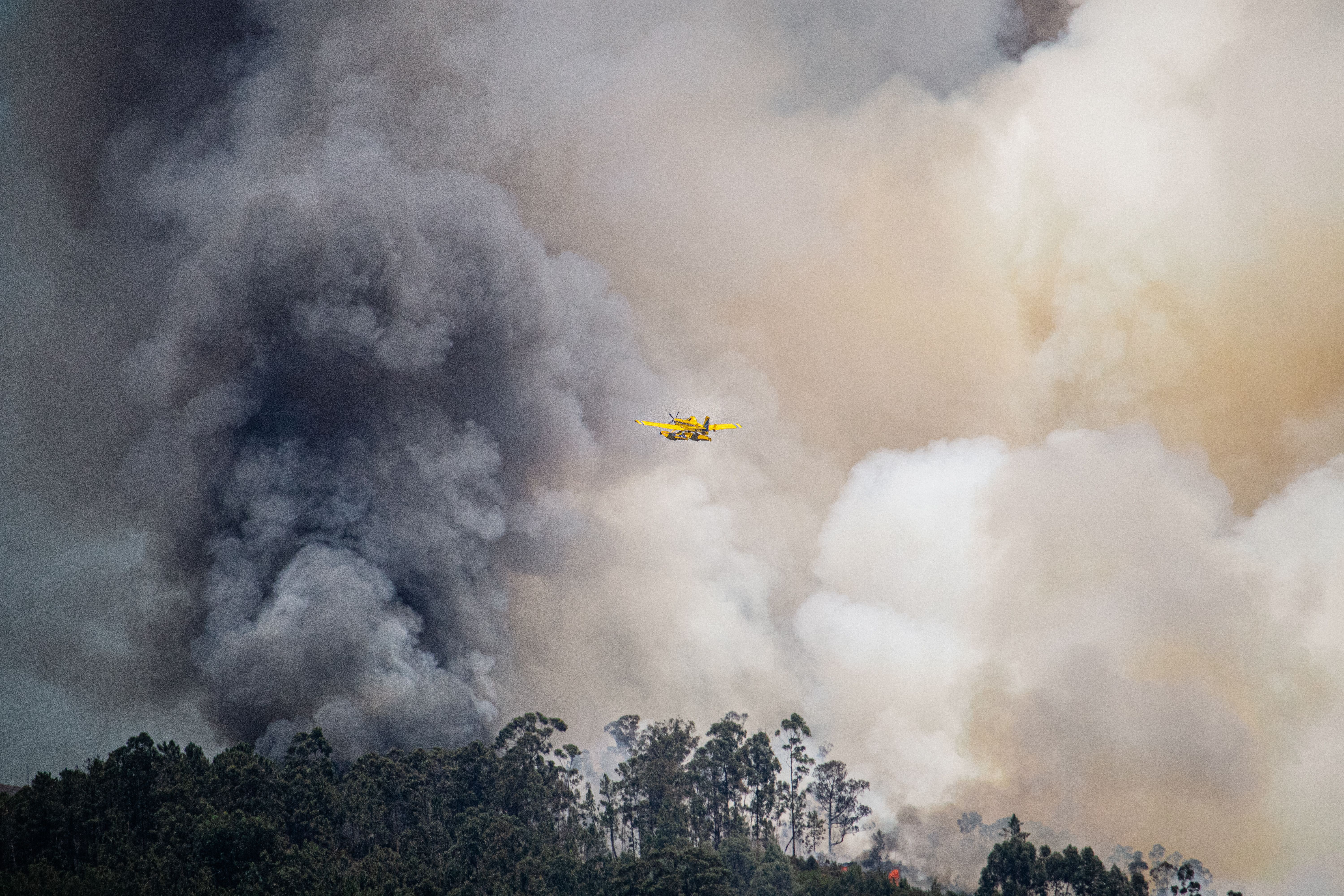 Incendios y Ola de Calor/ Pexels