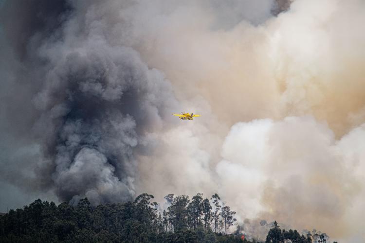 Incendios y Ola de Calor/ Pexels Incendios y Ola de Calor/ Pexels