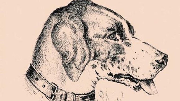 Reto visual Reto visual