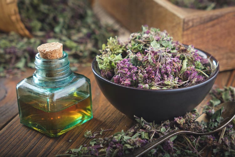 hierbas medicinales hierbas medicinales