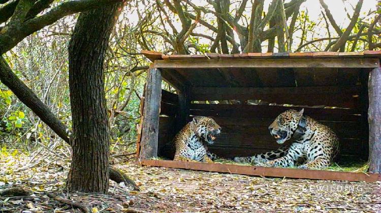 C80689F4-FB0F-489B-A48C-9D1A3DF43738 C80689F4-FB0F-489B-A48C-9D1A3DF43738