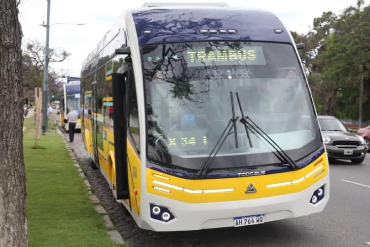 Trambus Ciudad.jpg Trambus Ciudad.jpg