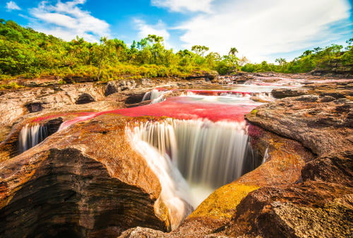Conoce Caño Cristales, el imperdible río de colores que se escapó del paraíso