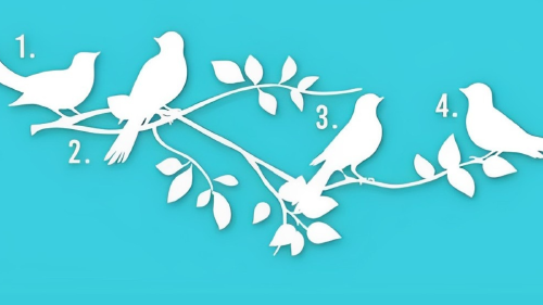 test visual Test visual: escoge uno de los pájaros y el motivo de tu existencia. (Foto: depor.com)