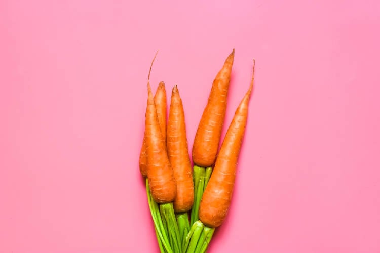 zanahorias zanahorias