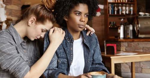 pedir perdón pedir perdón