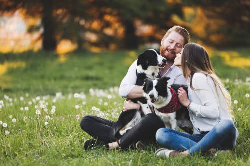 una pareja y sus perros una pareja y sus perros disfrutan al aire libre