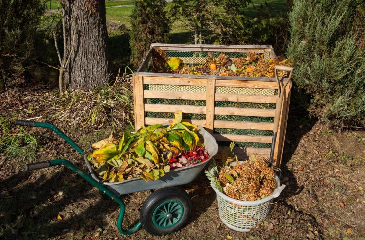 Compost hábitos saludables