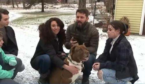 mascota familia mascota familia