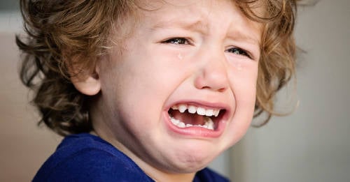 esto pasa cerebro niño cuando gritas esto pasa cerebro niño cuando gritas