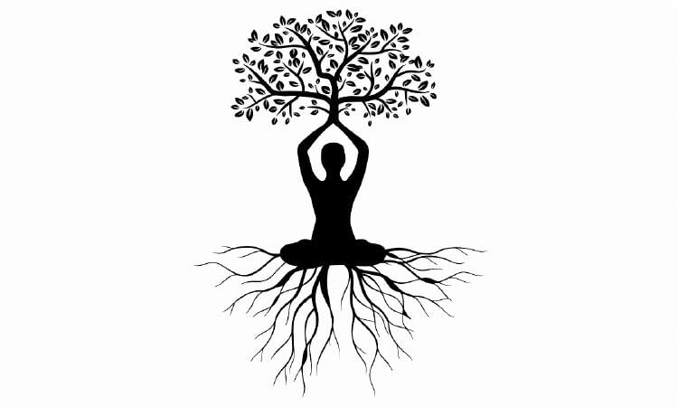 significado arbol de la vida significado arbol de la vida