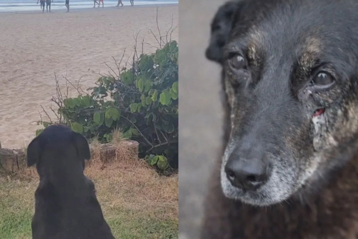 Imagen: www.diariouno.com.ar