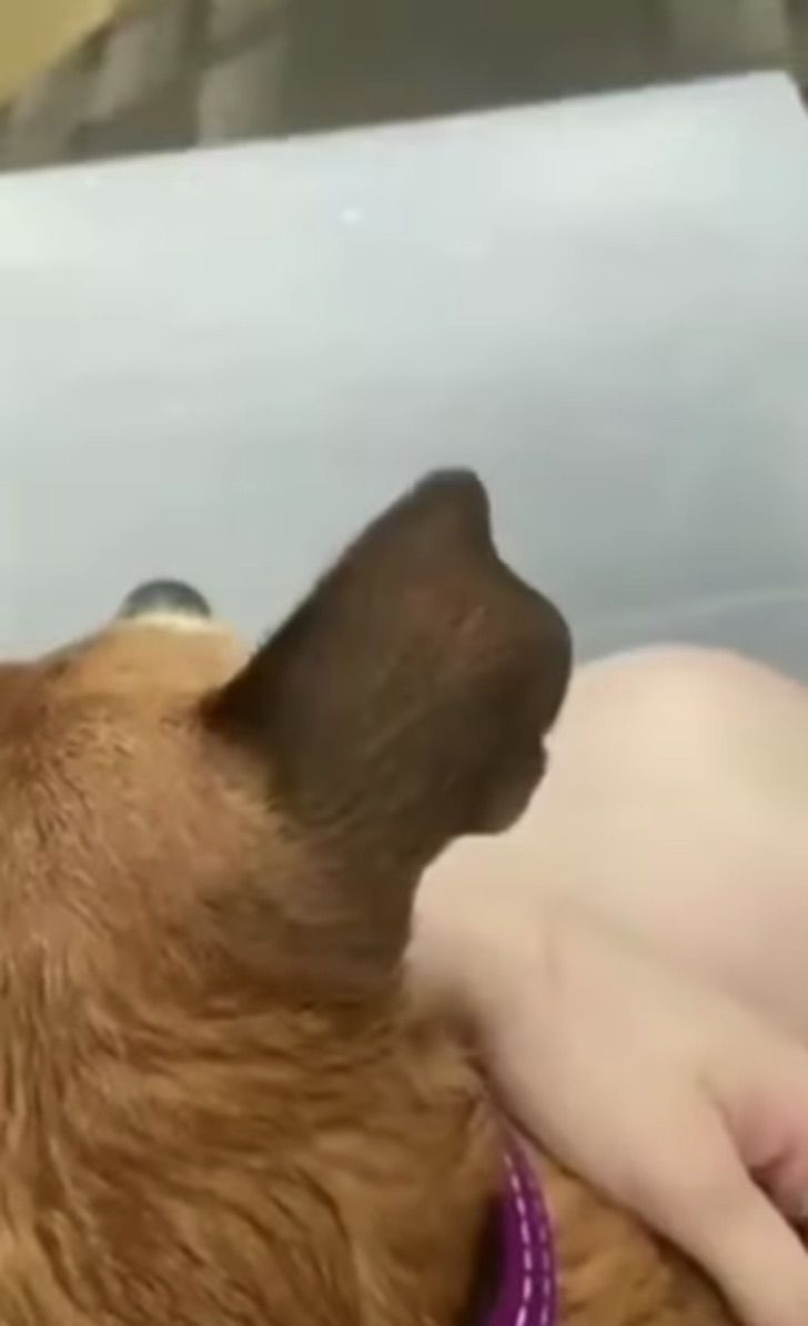 inundacion3 inundacion3