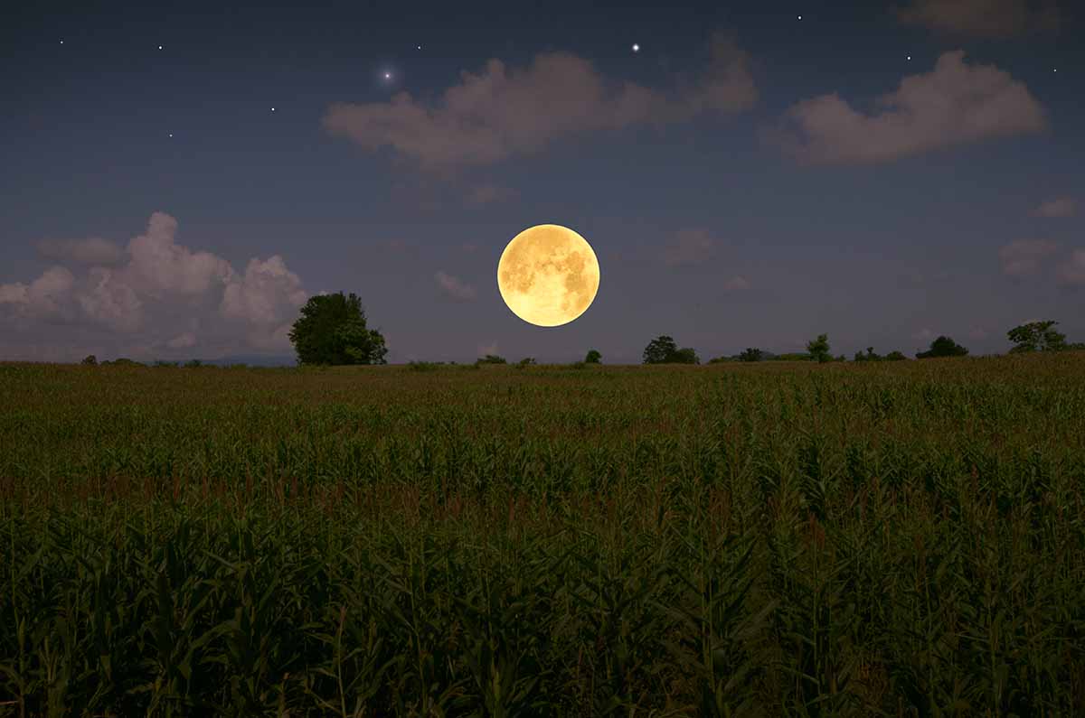 2LUNA MAIZ AdobeStock_358266990 2LUNA MAIZ AdobeStock_358266990