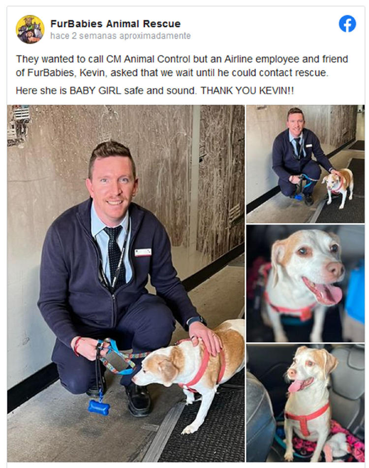 perrita3 perrita3