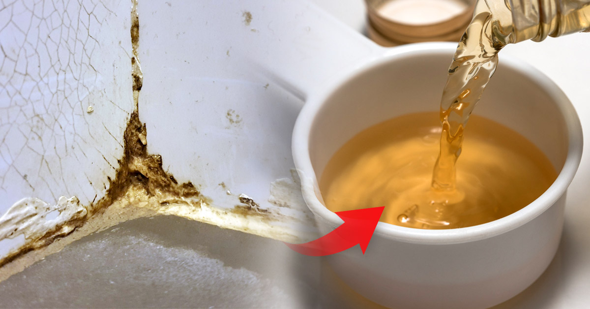 hongos cortinas techo hongos cortinas techo