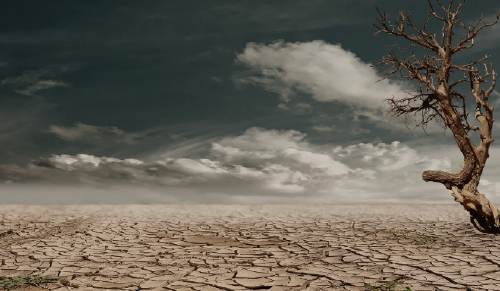 problema ambiental ¿Qué es un problema ambiental?: Causas y consecuencias