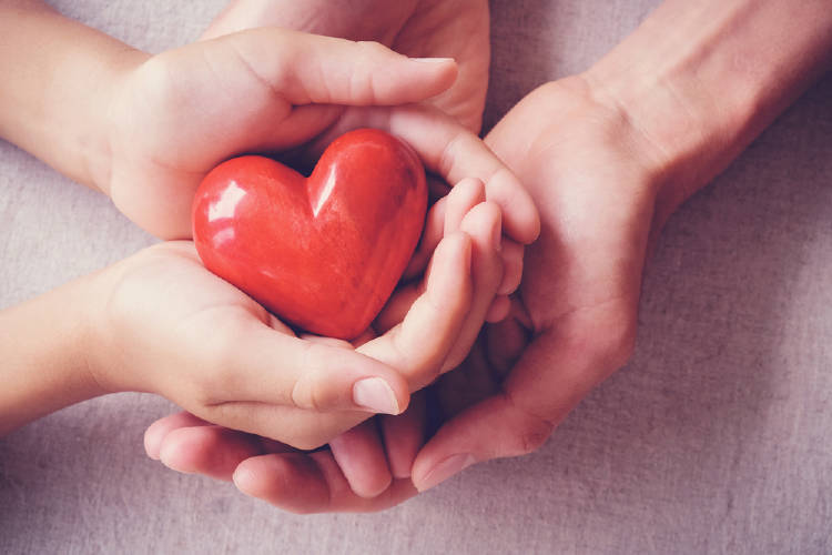 corazon manos Cuatro manos sosteniendo un corazón rojo