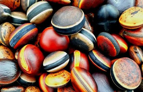 Ojo de buey Ojo de buey