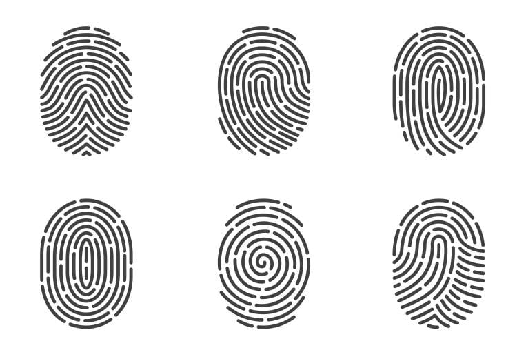 primer amor test primer amor