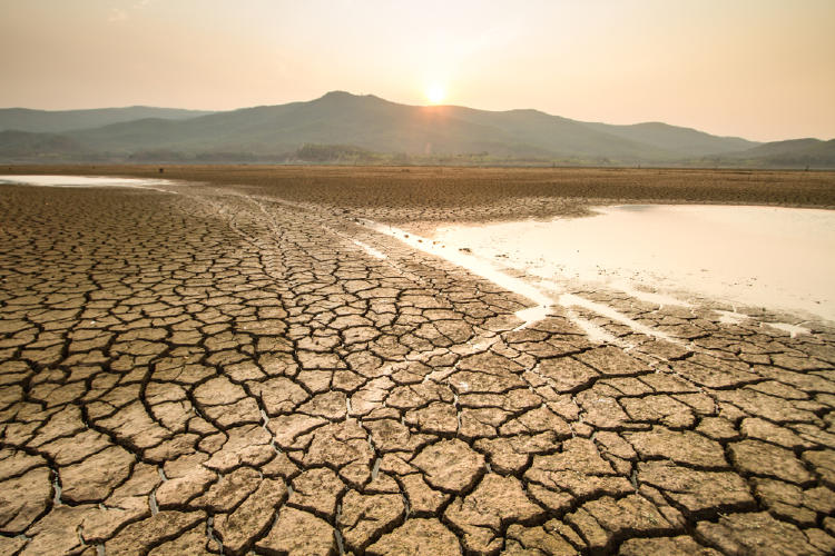 Afirman que el cambio climático podría obligar a 216 millones de personas a migrar dentro de sus países