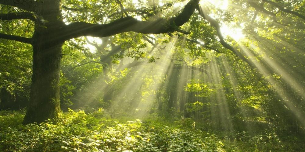 naturaleza naturaleza