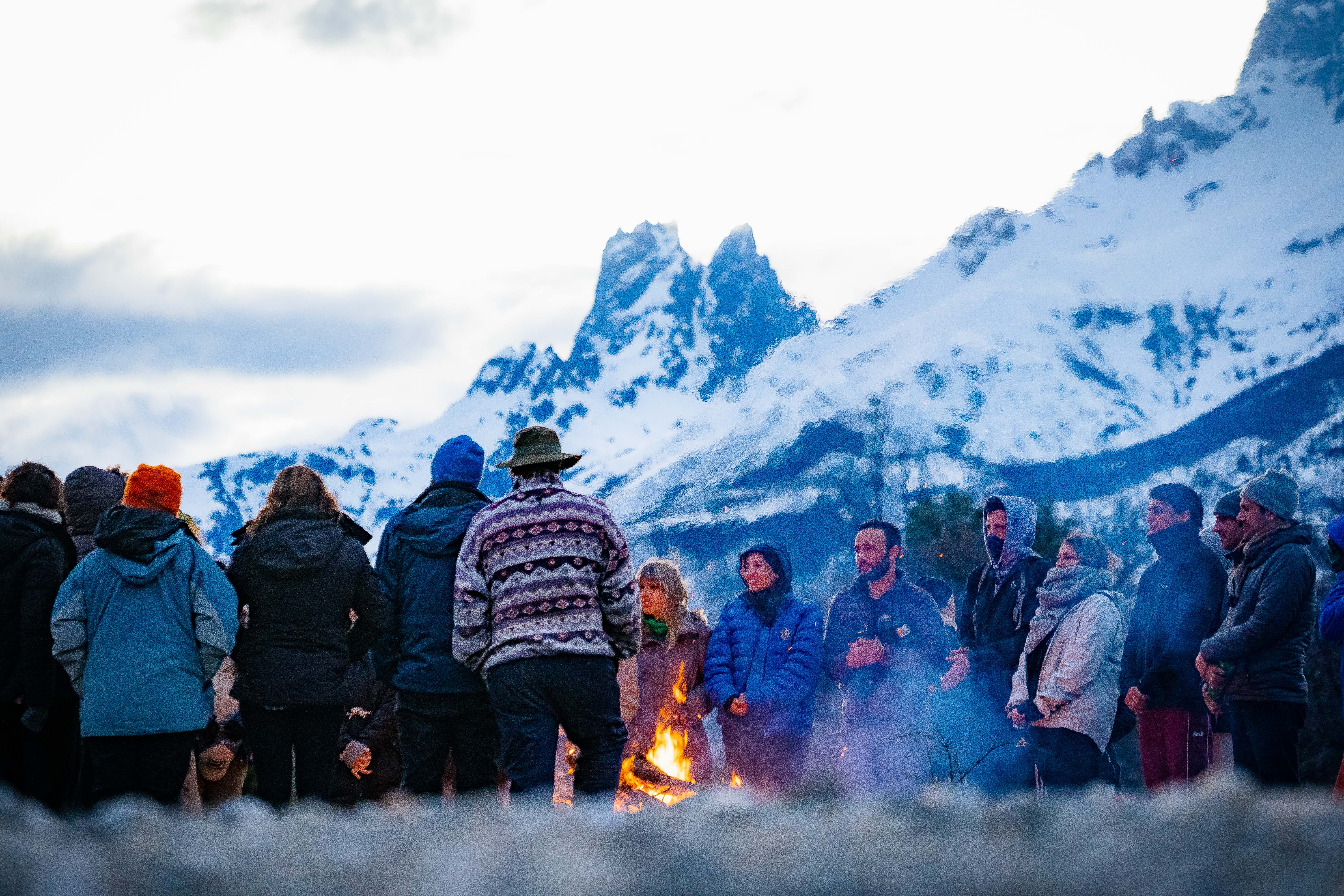 Reforestación bosques Reforestación bosques