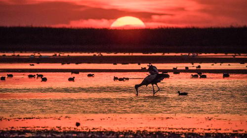 1a634191 4 eduardo bodino 31 1024x576 1a634191 4 eduardo bodino 31 1024x576