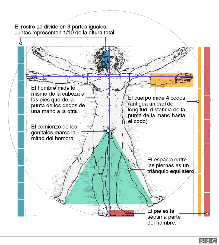hombre_vitruvio hombre_vitruvio
